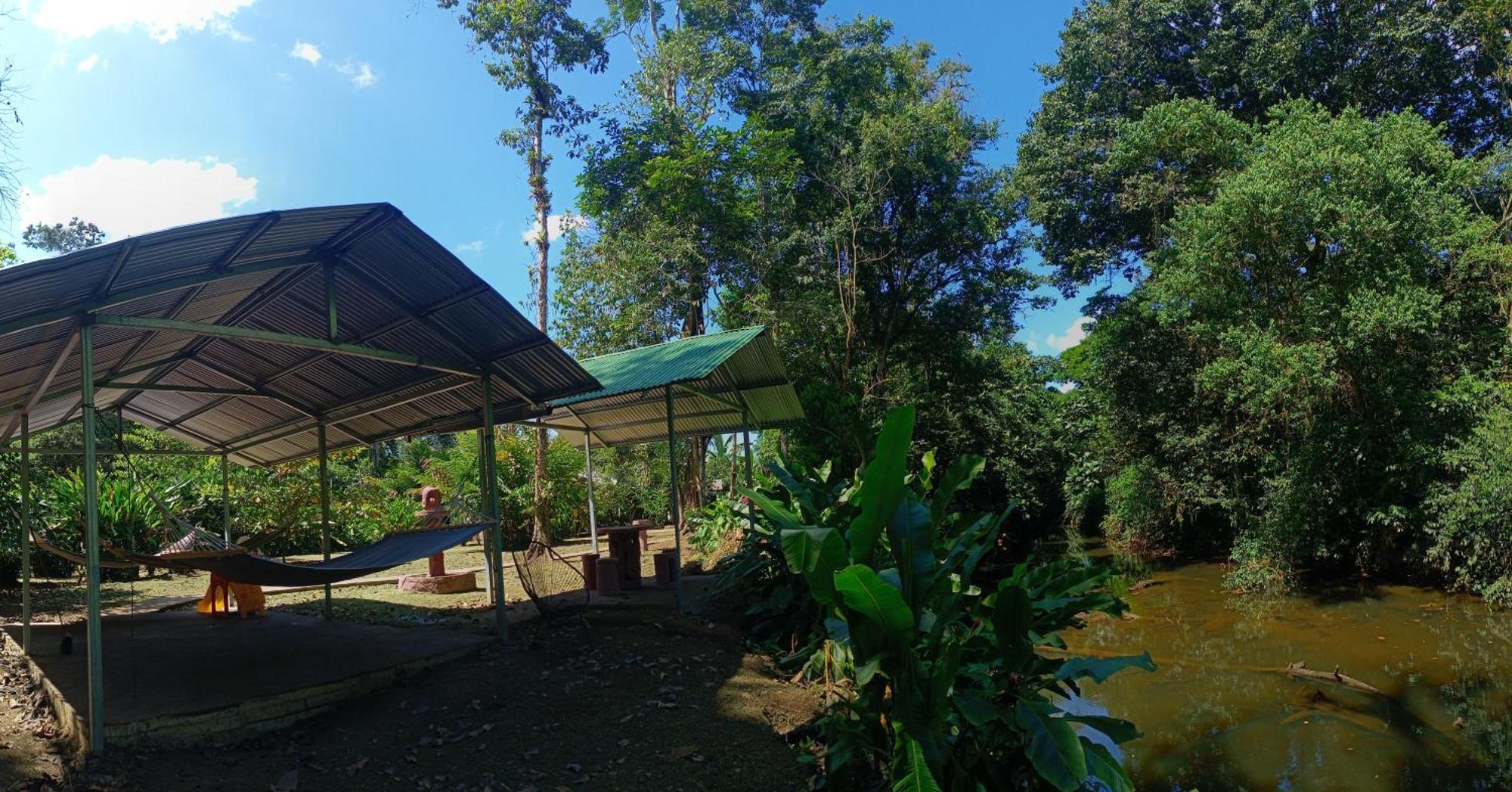 Finca La Paz - Sarapiqui Puerto Viejo de Sarapiqui Εξωτερικό φωτογραφία