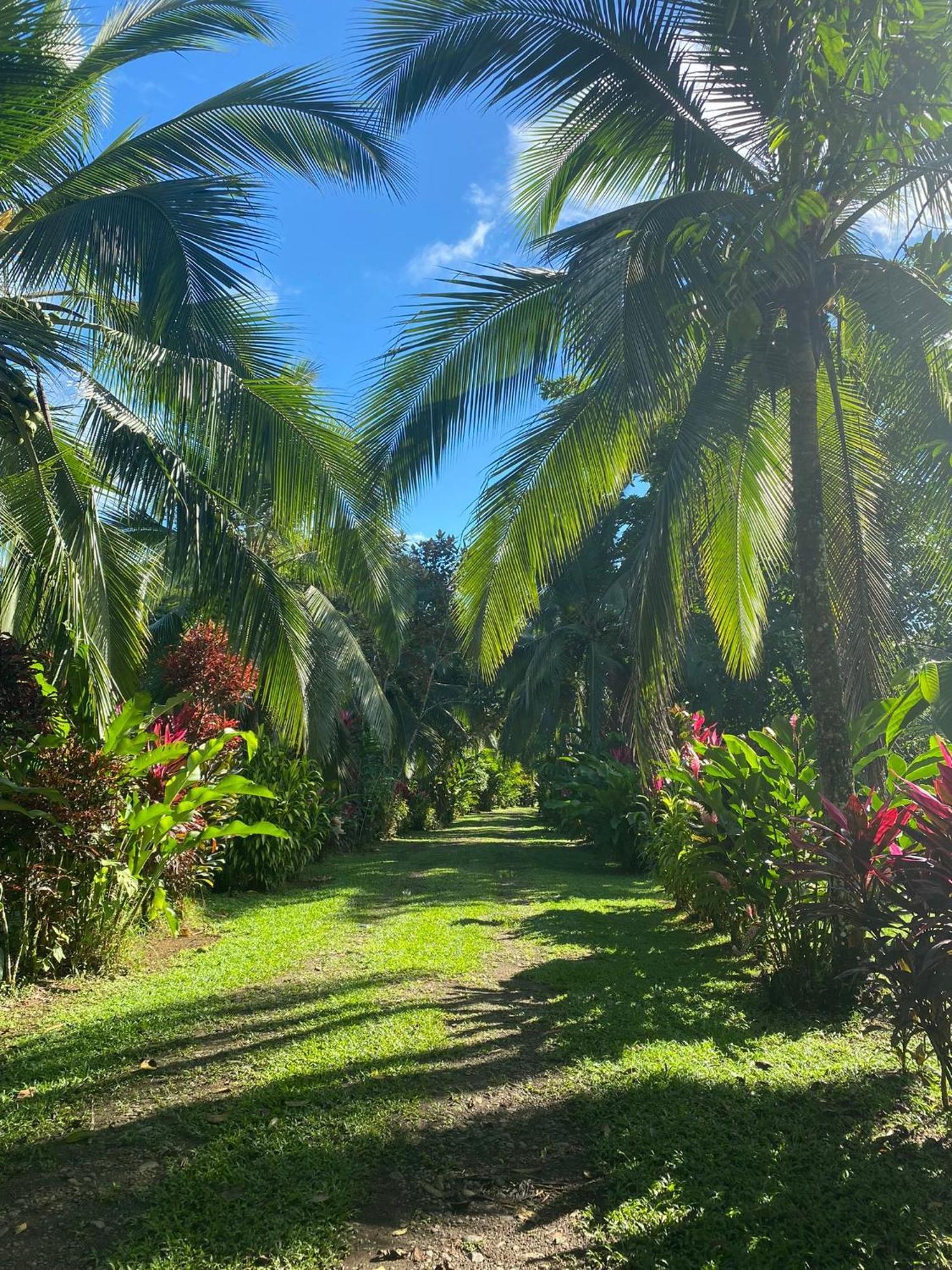 Finca La Paz - Sarapiqui Puerto Viejo de Sarapiqui Εξωτερικό φωτογραφία