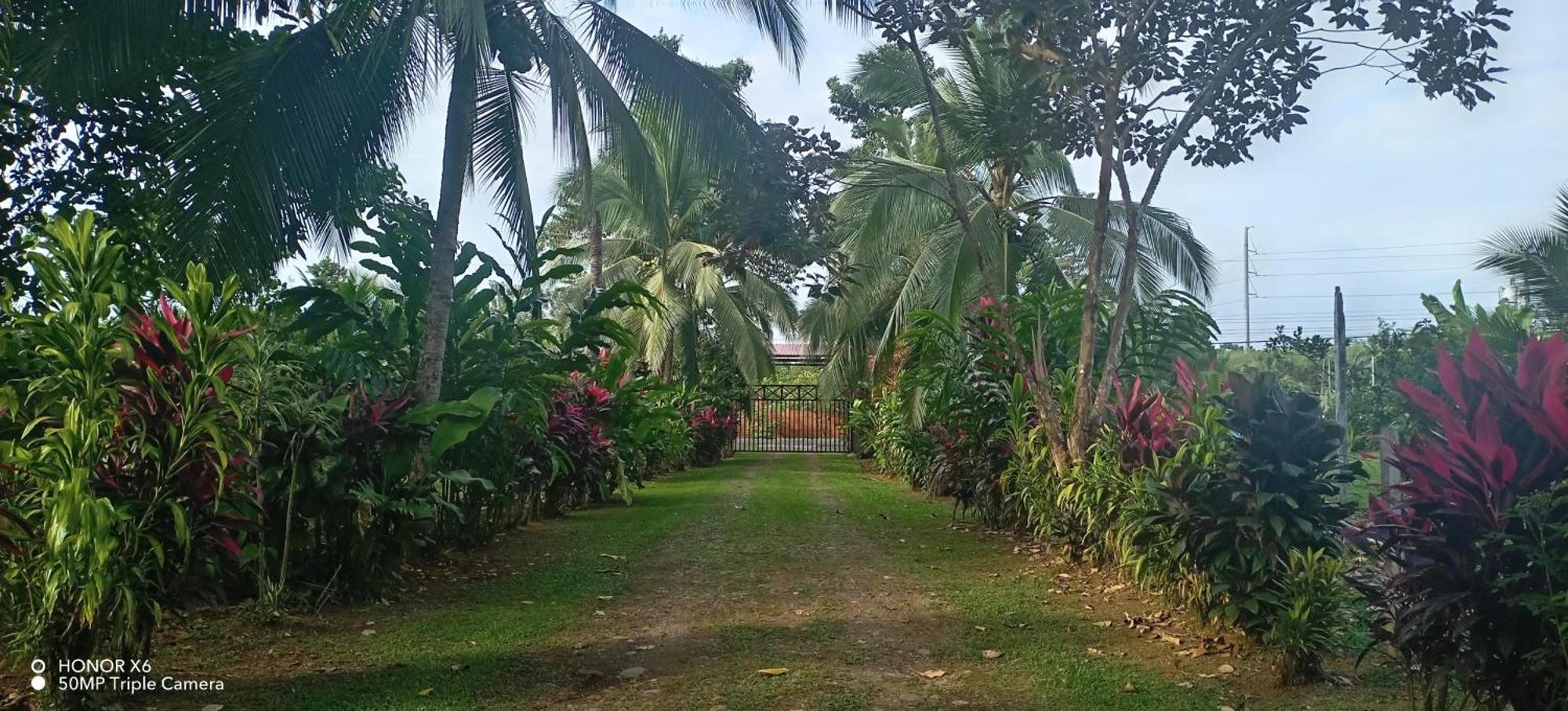 Finca La Paz - Sarapiqui Puerto Viejo de Sarapiqui Εξωτερικό φωτογραφία